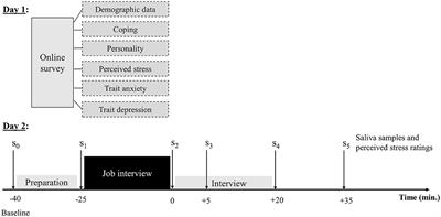 ForDigitStress: presentation and evaluation of a new laboratory stressor using a digital job interview-scenario